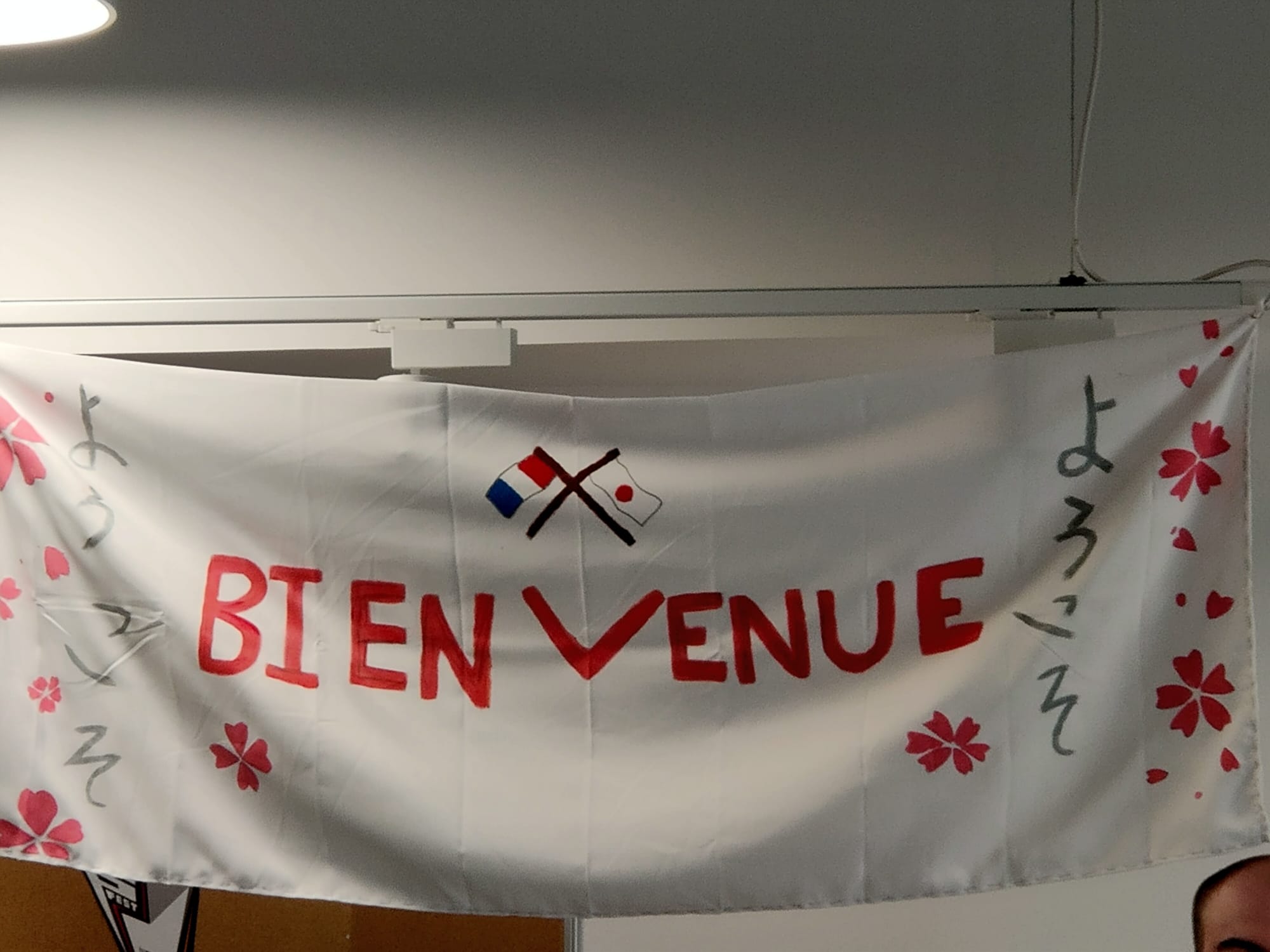 Du Japon aux Hauts-de-France